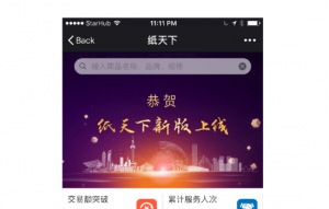 Media Manager - WeChat Marketing Agency - Case Studies 1C 300x191